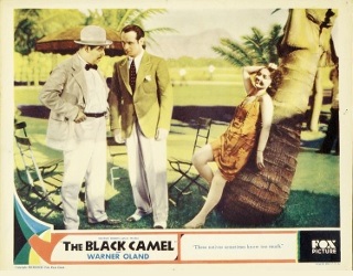 BLACK CAMEL